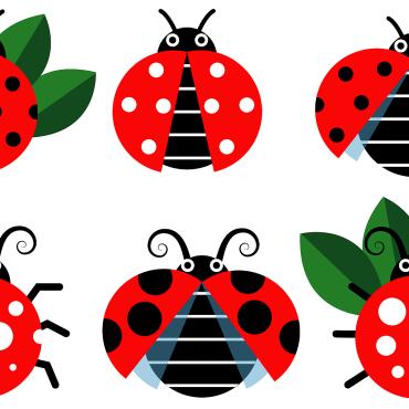 <a class=ContentLinkGreen href=></a></font> bug femme 120727