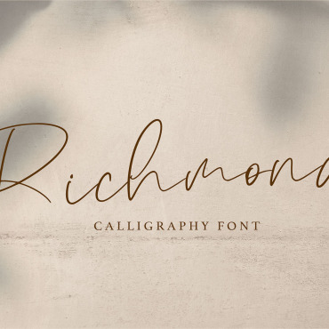 Vector Design Fonts 120889