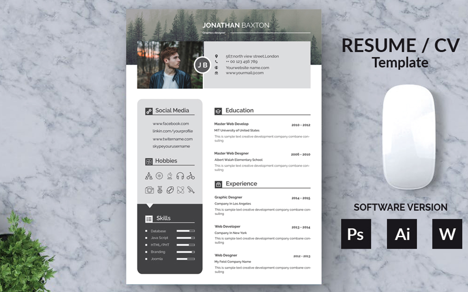 Baxton Clear And Modern Resume Template