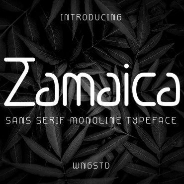 Fontthinelegant Fontmodern  121503