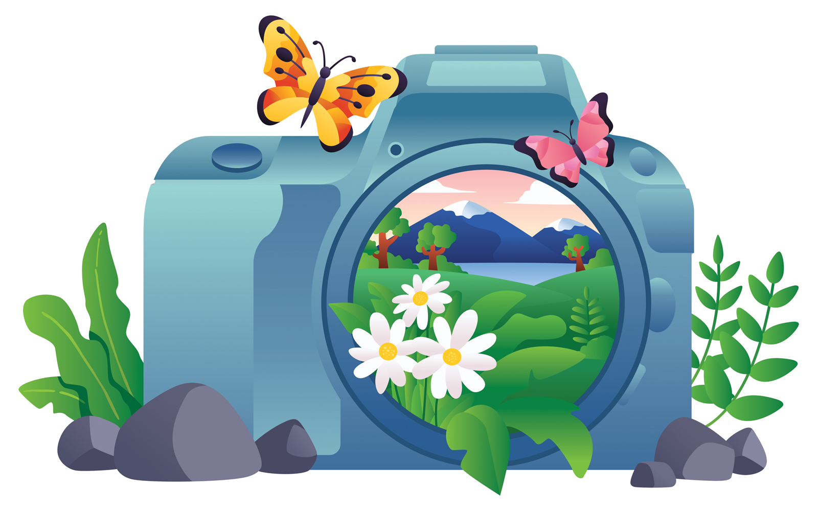 Nature Photography - Illustration