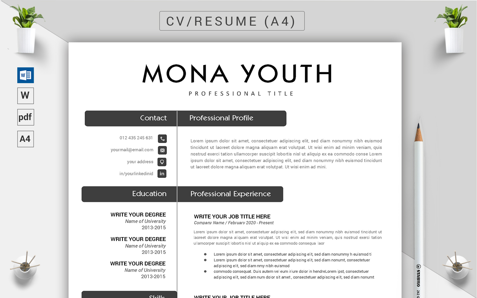 Mona Youth - CV Resume Template