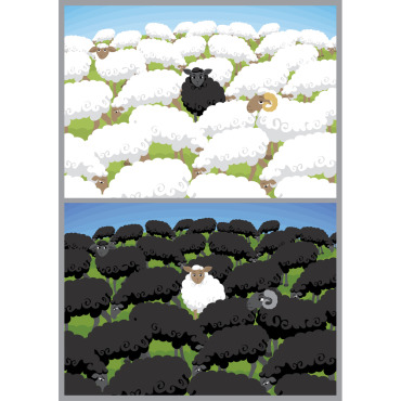 Sheep Sheep Illustrations Templates 124807