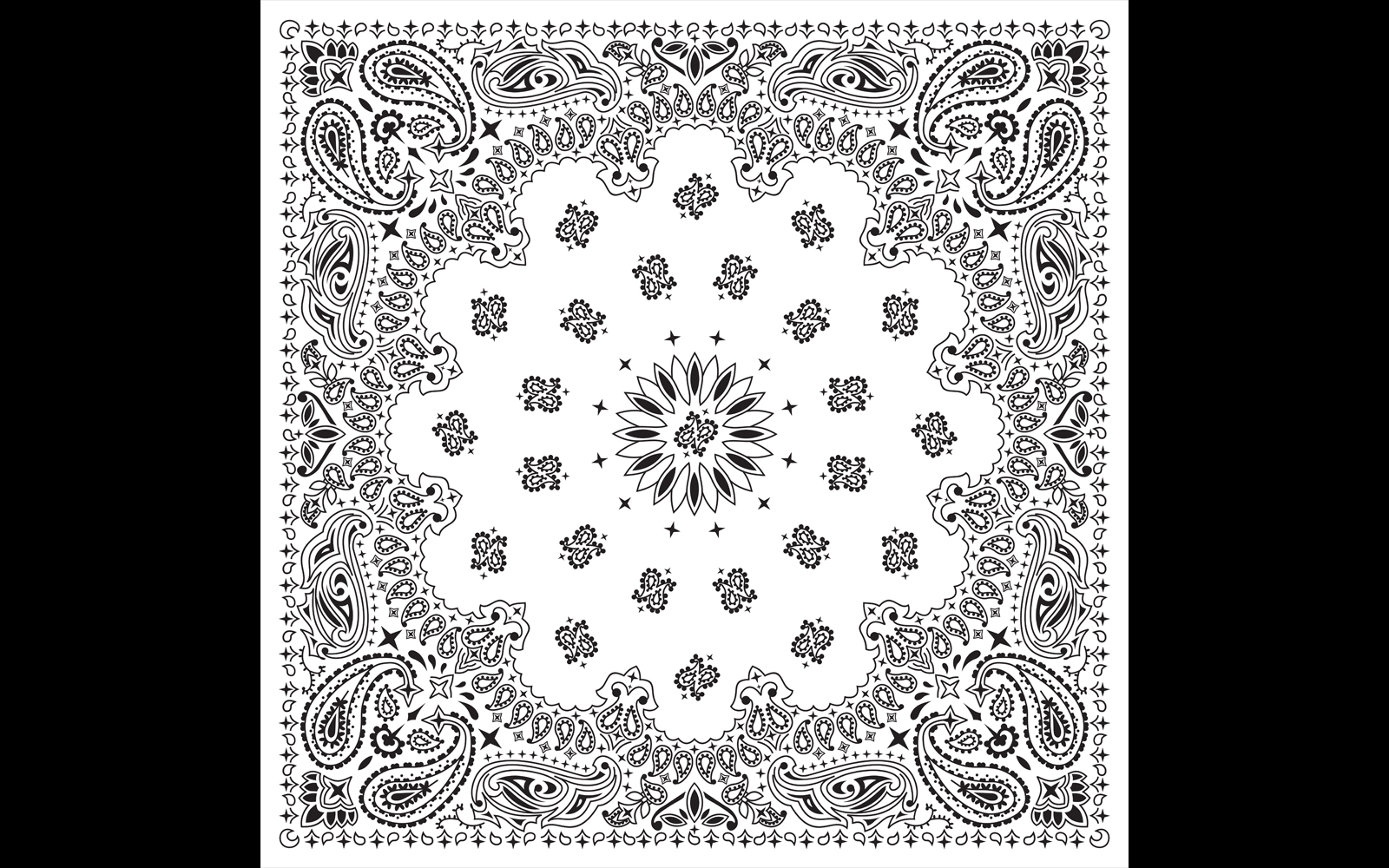 Bandana White - Illustration