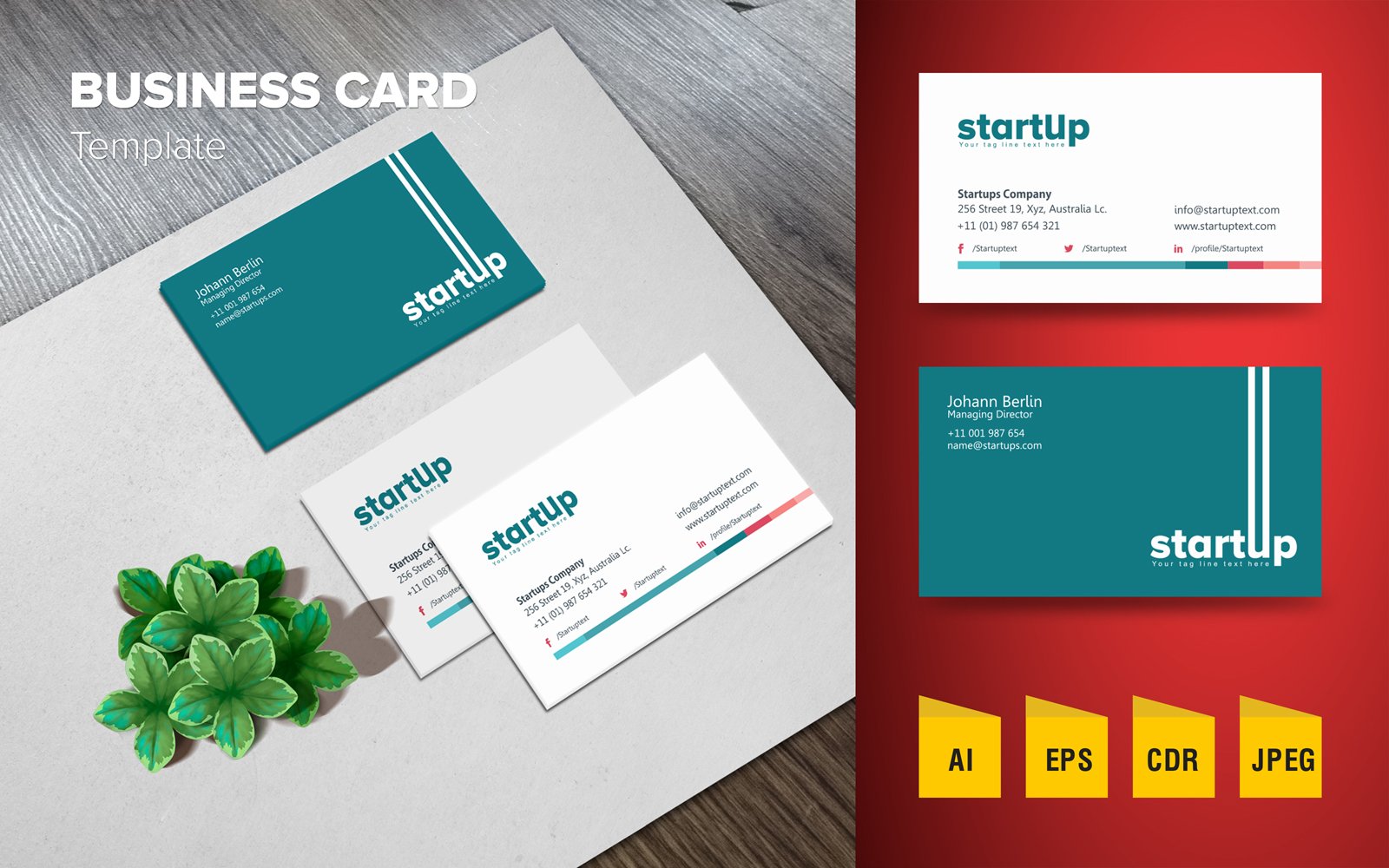 Professional Business Card Design - Corporate Identity Template