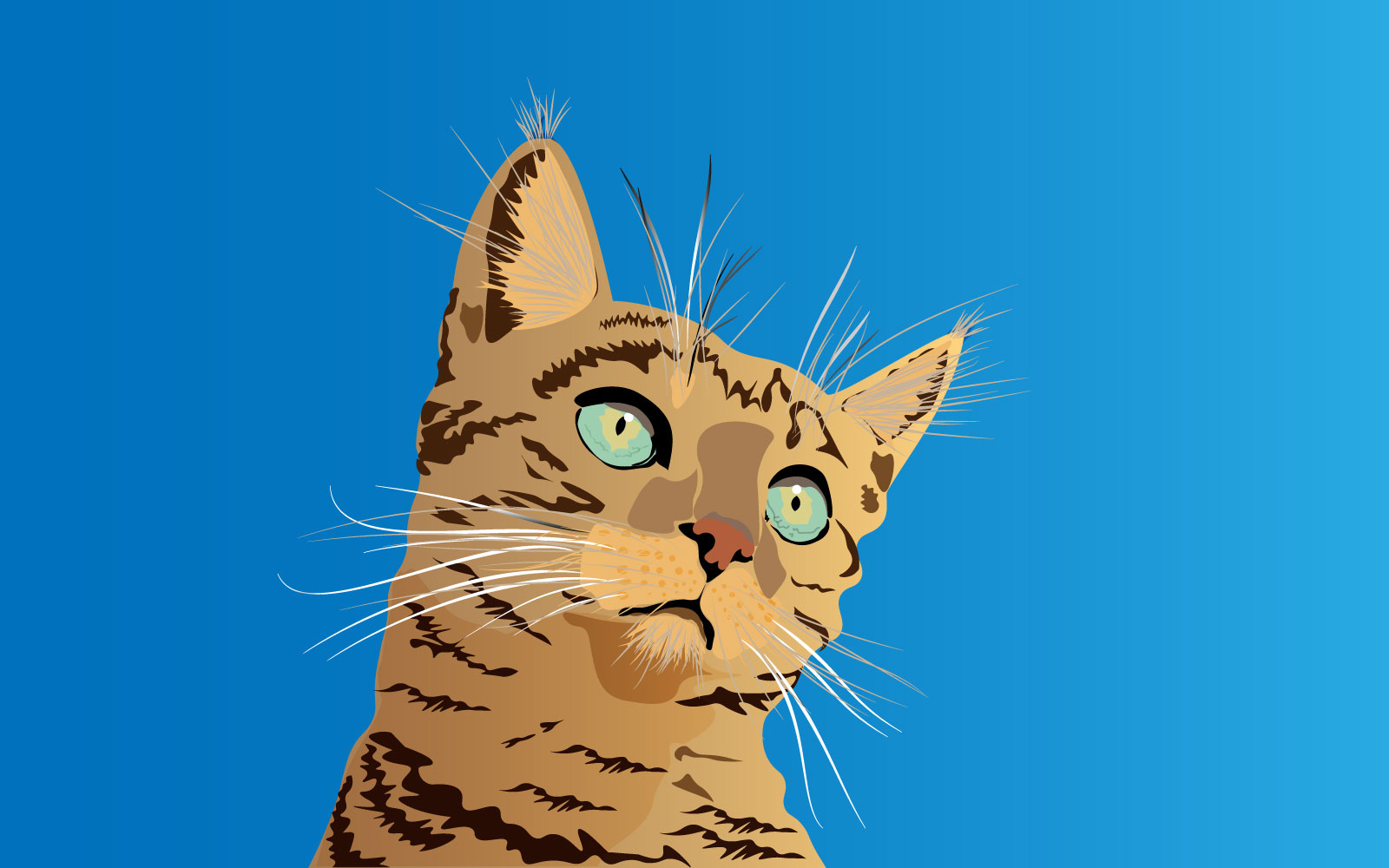 Realistic Cat Face - Illustration