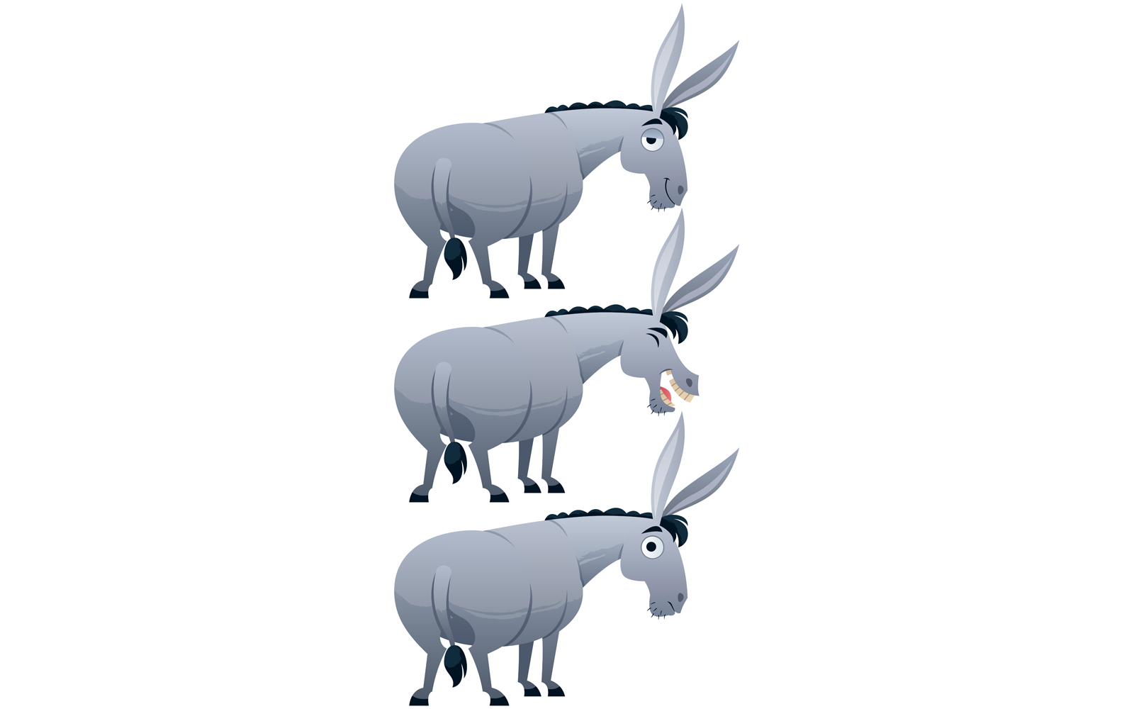 Donkey - Illustration