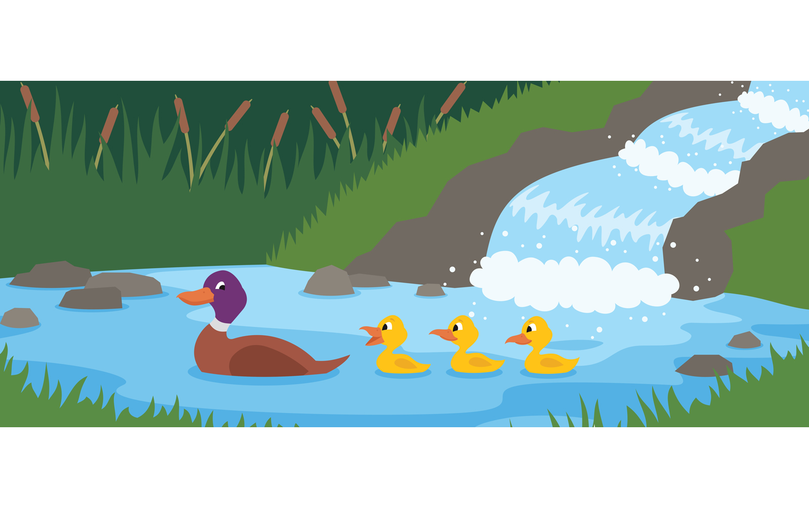 Duck Tale - Illustration
