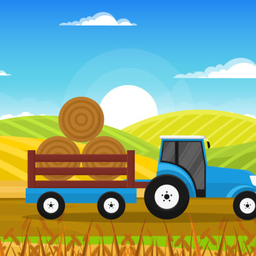 Wheat Field Illustrations Templates 126591