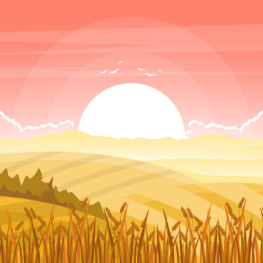 Wheat Field Illustrations Templates 126593