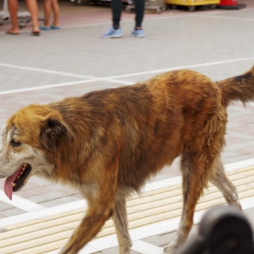 <a class=ContentLinkGreen href=/fr/kits_graphiques_templates_stock-video.html>Stock Vid�o</a></font> ville ville 128635