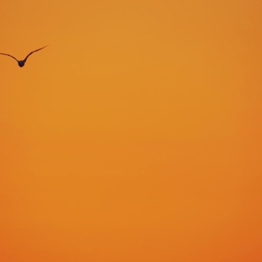 <a class=ContentLinkGreen href=/fr/kits_graphiques_templates_stock-video.html>Stock Vid�o</a></font> coucher-du-soleil orange 128648