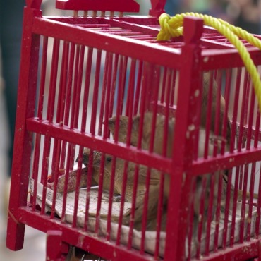 <a class=ContentLinkGreen href=/fr/kits_graphiques_templates_stock-video.html>Stock Vid�o</a></font> ville rouge 132270