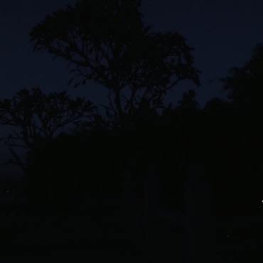 <a class=ContentLinkGreen href=/fr/kits_graphiques_templates_stock-video.html>Stock Vid�o</a></font> religion architecture 132278