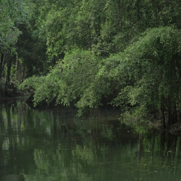 <a class=ContentLinkGreen href=/fr/kits_graphiques_templates_stock-video.html>Stock Vid�o</a></font> �t� vert 132310