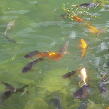 <a class=ContentLinkGreen href=/fr/kits_graphiques_templates_stock-video.html>Stock Vid�o</a></font> eau shine 132312