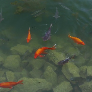 <a class=ContentLinkGreen href=/fr/kits_graphiques_templates_stock-video.html>Stock Vid�o</a></font> eau eau 132319