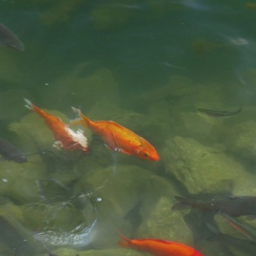 <a class=ContentLinkGreen href=/fr/kits_graphiques_templates_stock-video.html>Stock Vid�o</a></font> eau eau 132320