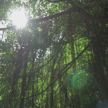 <a class=ContentLinkGreen href=/fr/kits_graphiques_templates_stock-video.html>Stock Vid�o</a></font> soleil voyage 132325