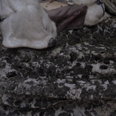 <a class=ContentLinkGreen href=/fr/kits_graphiques_templates_stock-video.html>Stock Vid�o</a></font> art arbre 132365