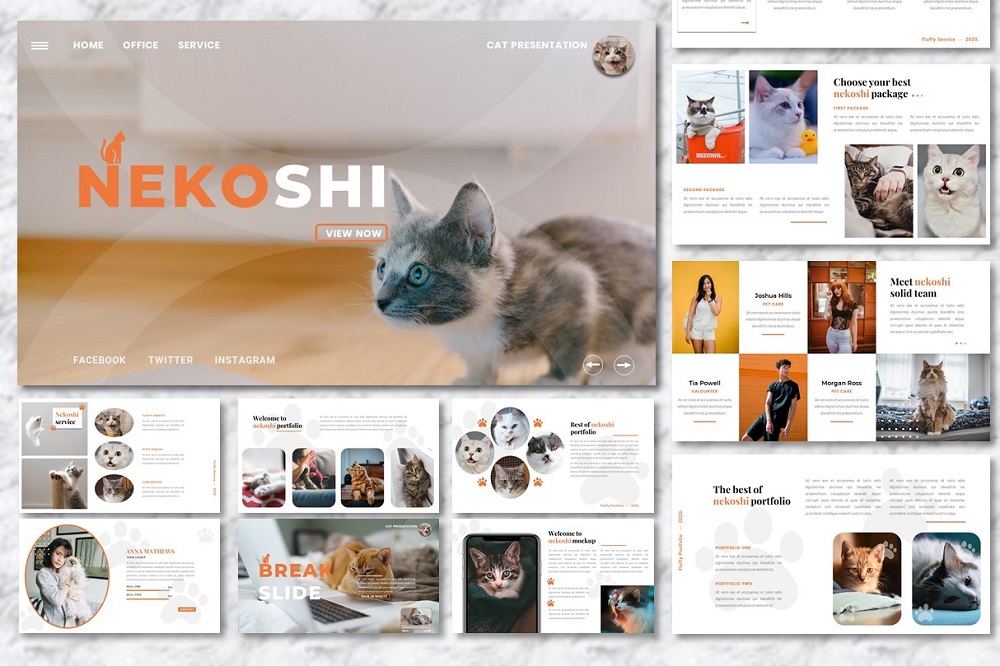 Nekoshi - Pet Business  Presentation PowerPoint template