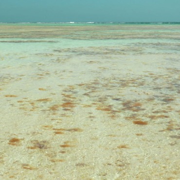 <a class=ContentLinkGreen href=/fr/kits_graphiques_templates_stock-video.html>Stock Vid�o</a></font> sable bleu 139639