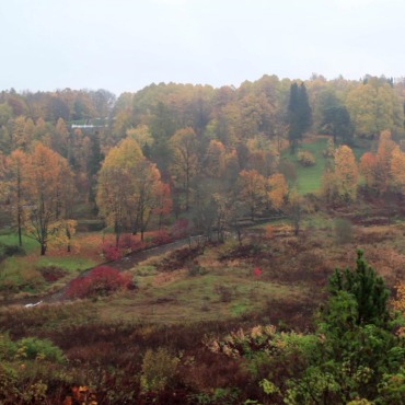 <a class=ContentLinkGreen href=/fr/kits_graphiques_templates_stock-video.html>Stock Vid�o</a></font> nature automne 139750