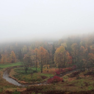 <a class=ContentLinkGreen href=/fr/kits_graphiques_templates_stock-video.html>Stock Vid�o</a></font> tomber automne 139769