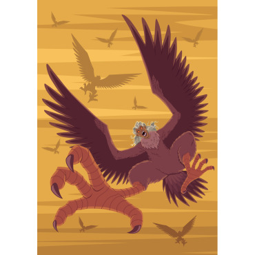 Harpies Harpia Illustrations Templates 143706