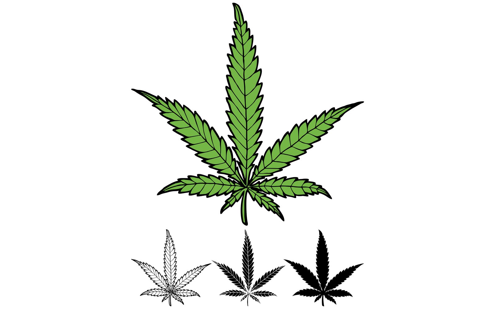 Hemp Leaf - Illustration