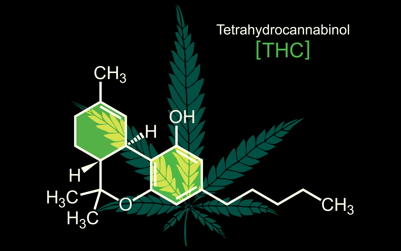 THC Molecule on Black - Illustration