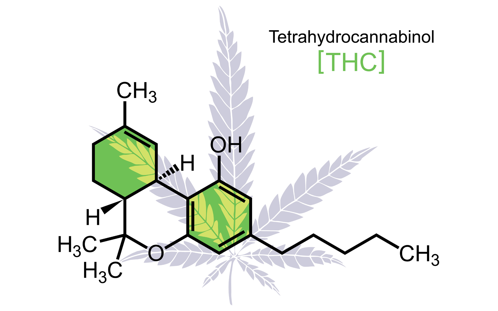 THC Molecule on White - Illustration