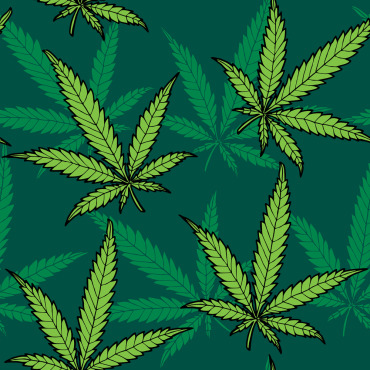 <a class=ContentLinkGreen href=/fr/kits_graphiques_templates_illustrations.html>Illustrations</a></font> hemp cannabis 143747