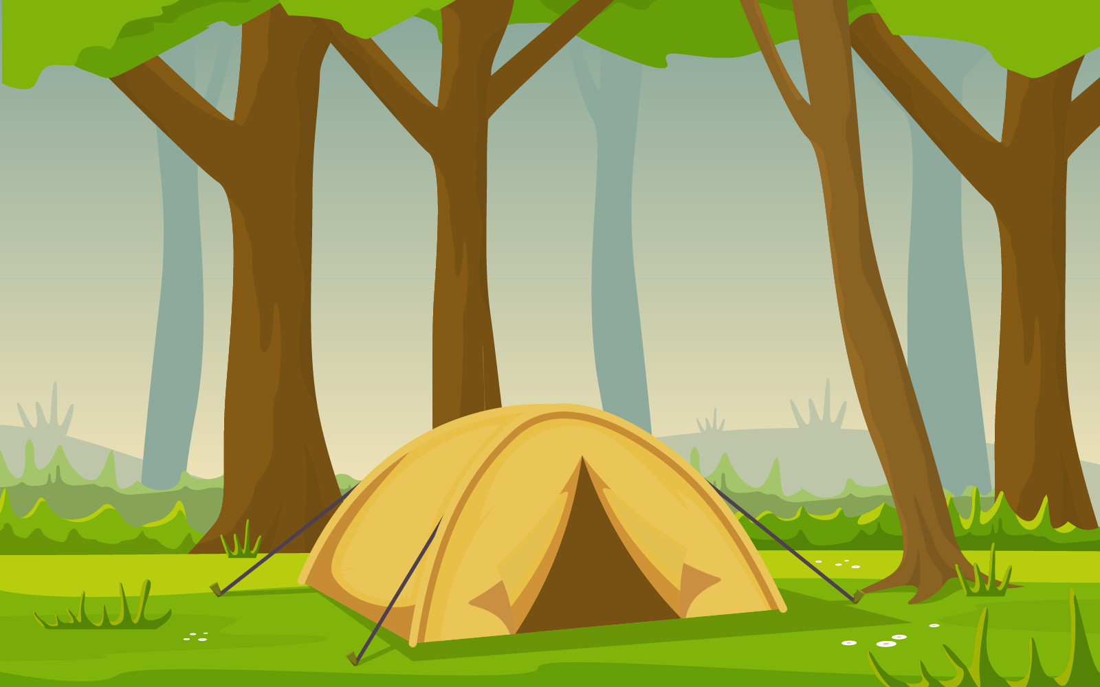 Park Woods Camping - Illustration