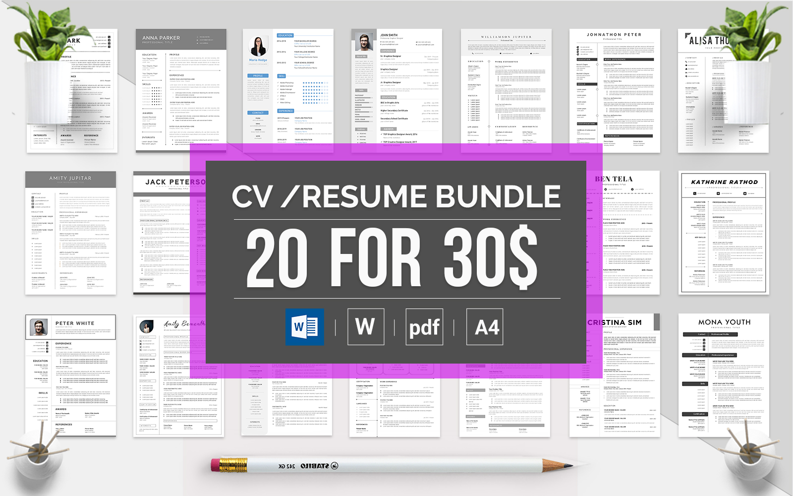 Mega Selling Bundle: 20 CV & Resume Template