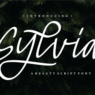 Type Typography Fonts 145623