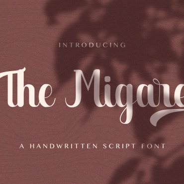 Script Calligraphy Fonts 145649