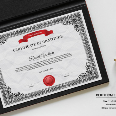 Template Gratitude Certificate Templates 145741