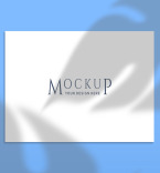 Product Mockups 148094