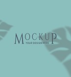 Product Mockups 148107