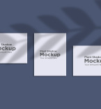 Product Mockups 148166