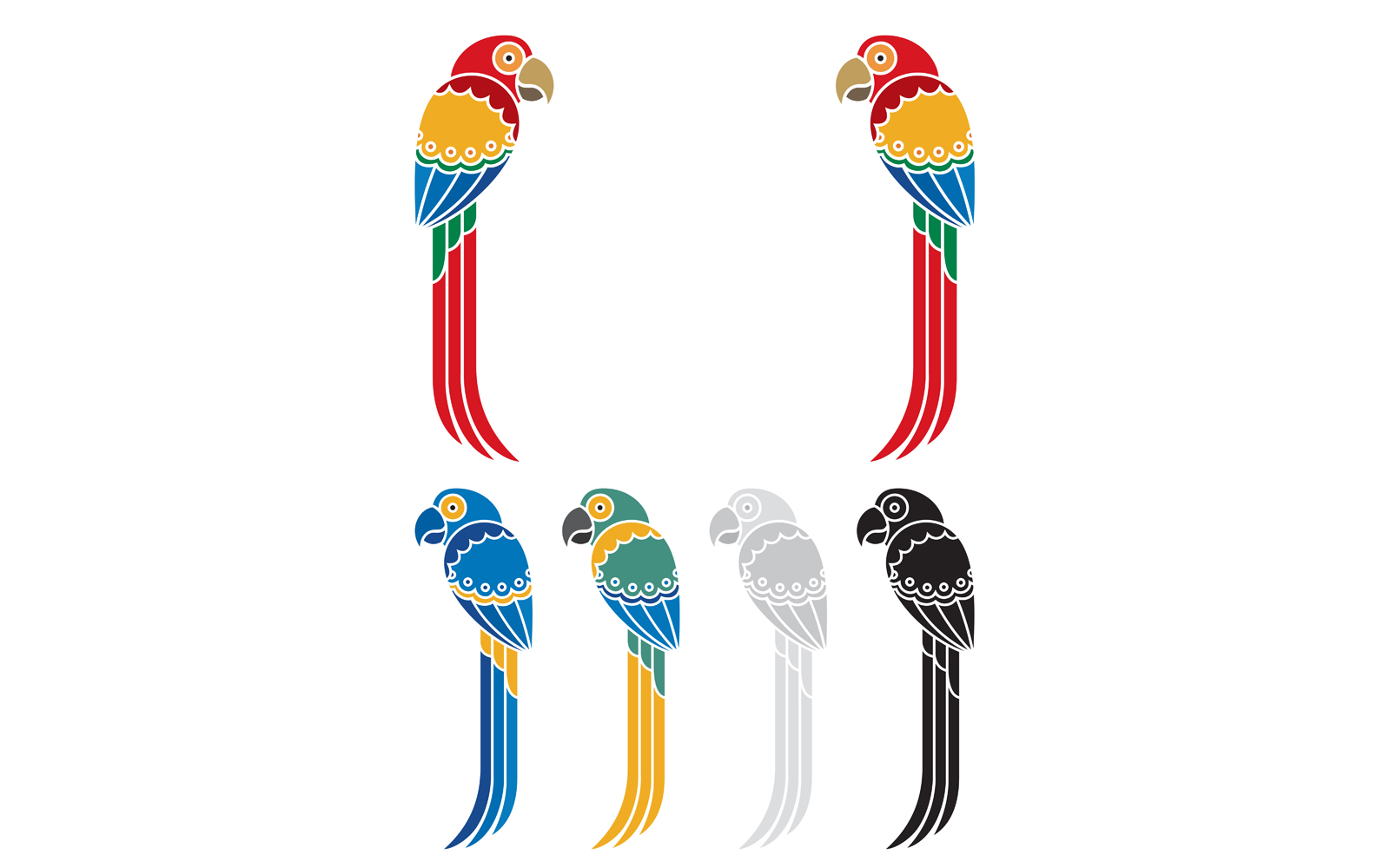 Parrots - Illustration