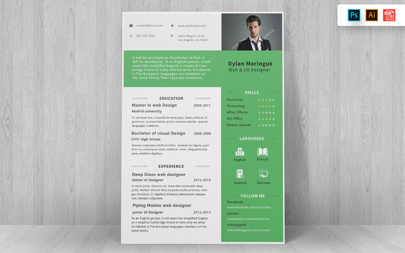 Professional CV Resume Template