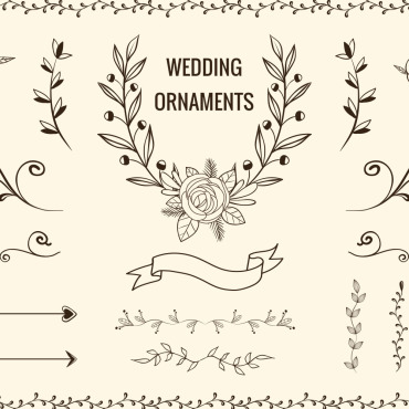 Ornaments Design Illustrations Templates 151102