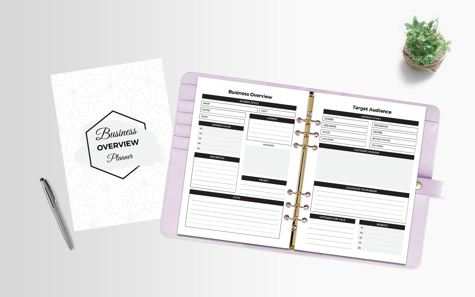 Business Overview Planner - Corporate Identity Template