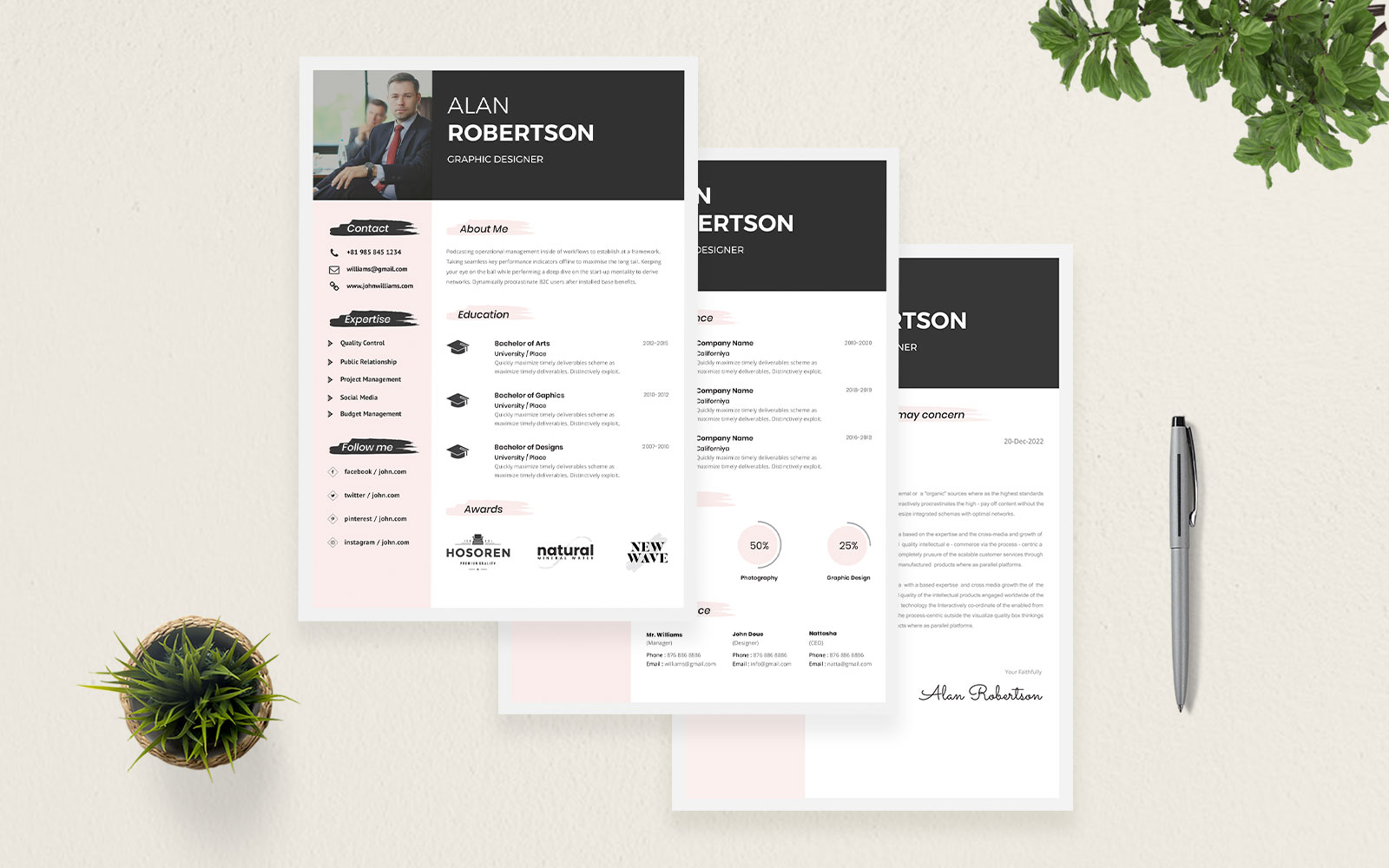 Professional CV Resume Template