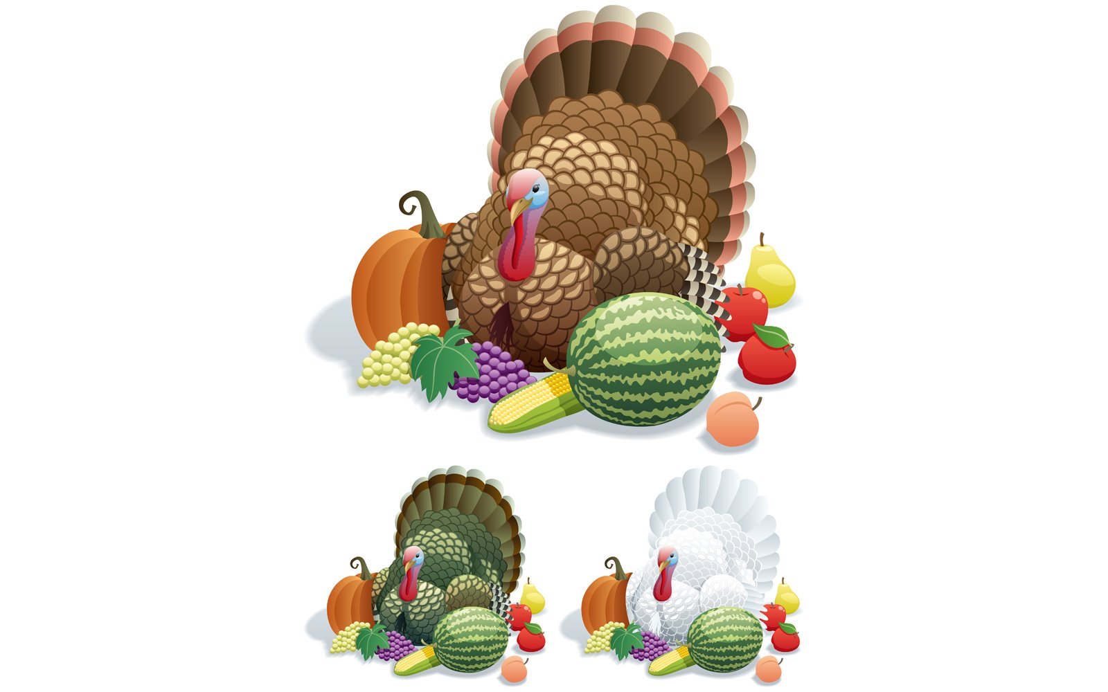 Thanksgiving Turkey - Illustration