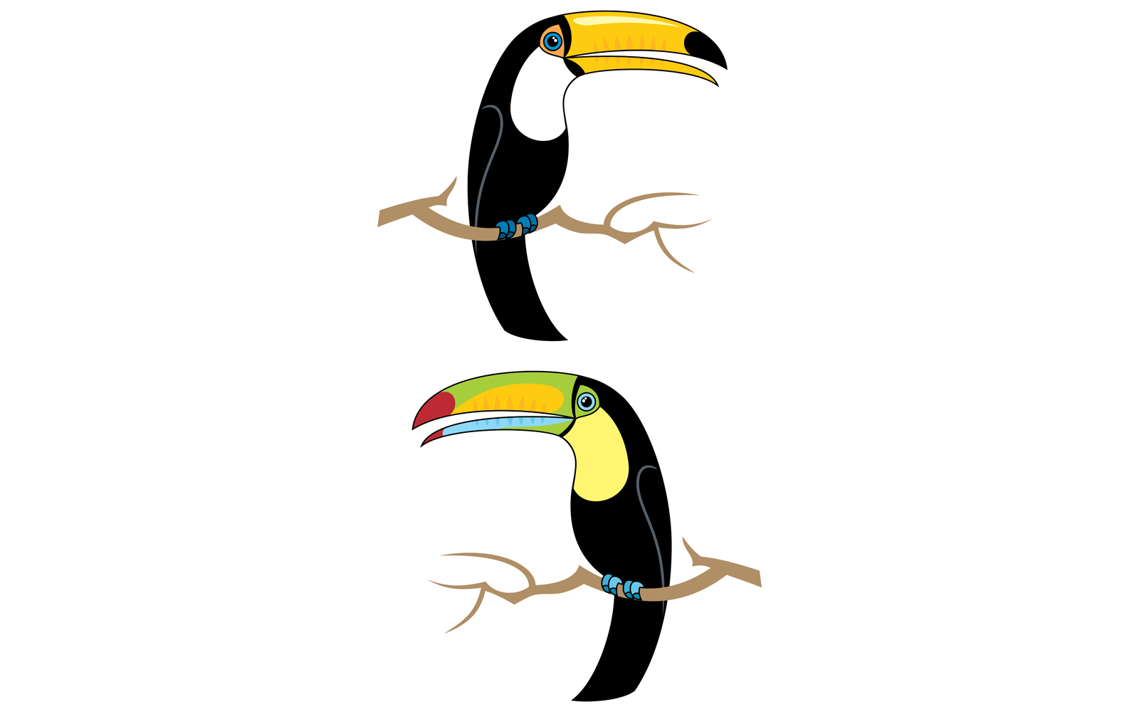 Toucans - Illustration