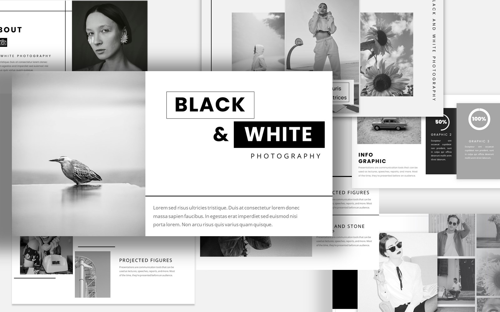 Black & White Themes PowerPoint template