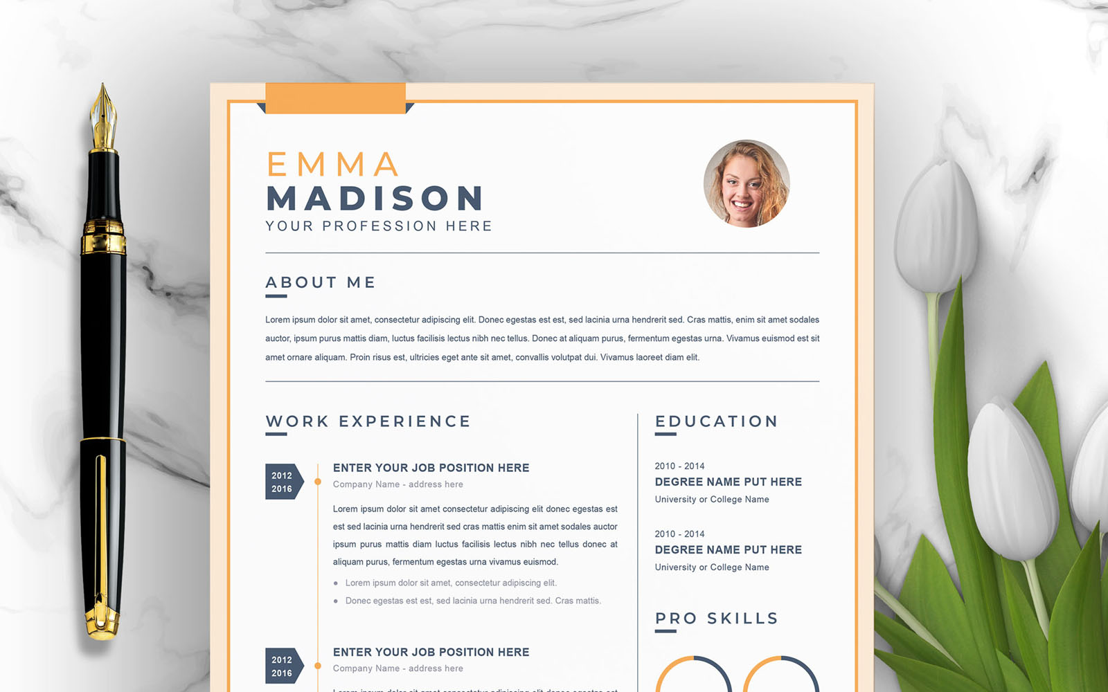 Professional | CV Resume Template